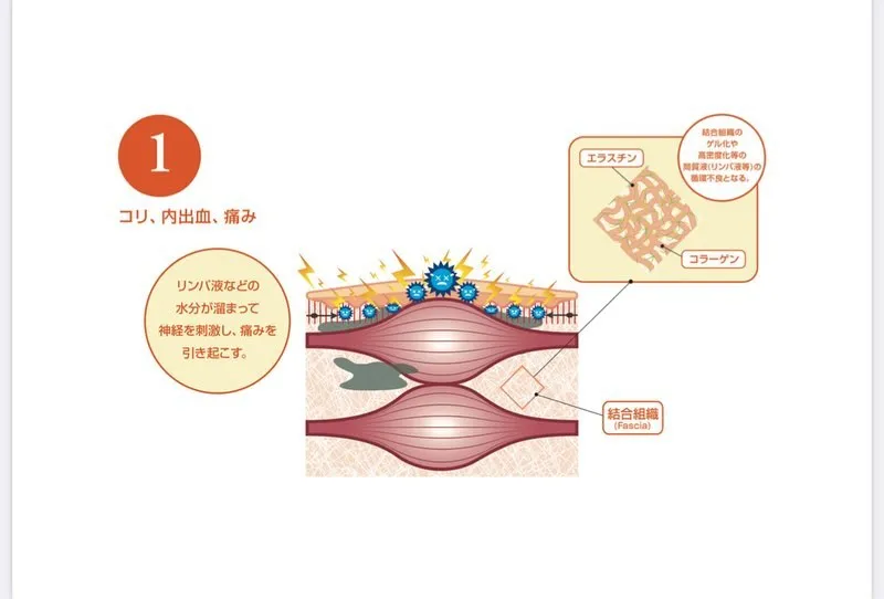 💪✨筋肉がスムーズに動くために、あなたの身体に必要なのは「筋...