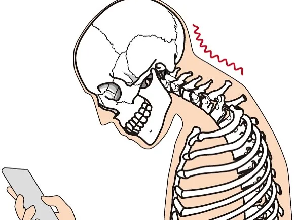【脊椎の可動域と姿勢の関係性とは?】
